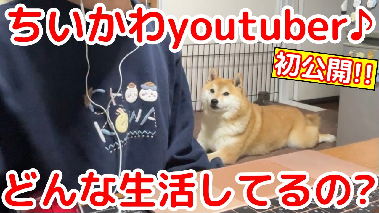 【ちいかわ】謎に包まれた私生活を初公開！（平日編♪）