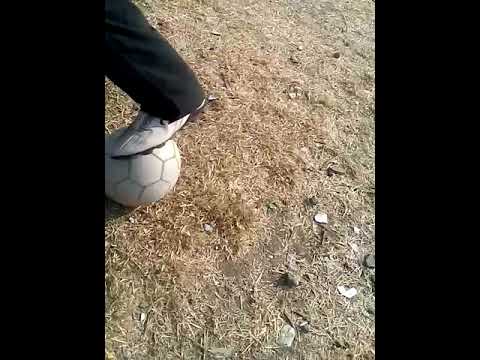 SHEKH ABRAR TRAINING WI...