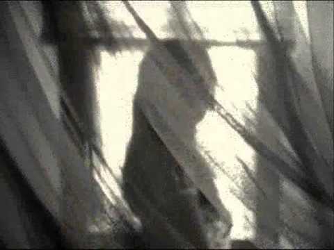 MANI DI NEBBIA E DITA di M.Guagliardito