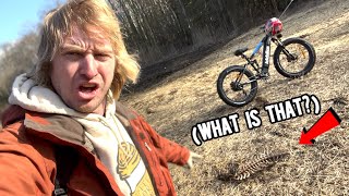 FOUND THIS WHILE RIDING MY ELECTRIC BIKE!