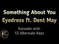 SOMETHING ABOUT YOU Karaoke EYEDRESS FT DENT MAY Instrumental Lower Higher Female Original Key