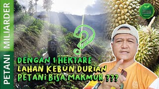 Download lagu DENGAN 1 HEKTARE LAHAN KEBUN DURIAN PETANI BISA MAKMUR || PETANI MILIARDER mp3 Download lagu DENGAN 1 HEKTARE LAHAN KEBUN DURIAN PETANI BISA MAKMUR || PETANI MILIARDER mp3