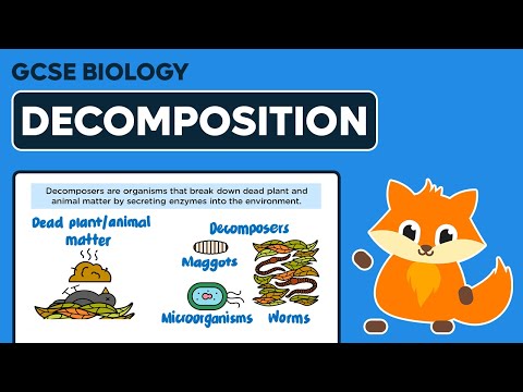 Decomposition & Decomposers - GCSE Biology