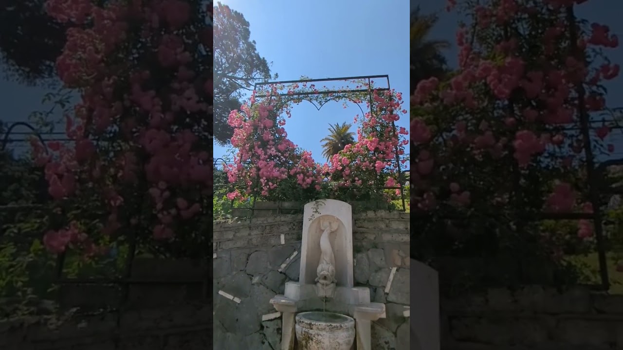 YouTube Short thumbnail