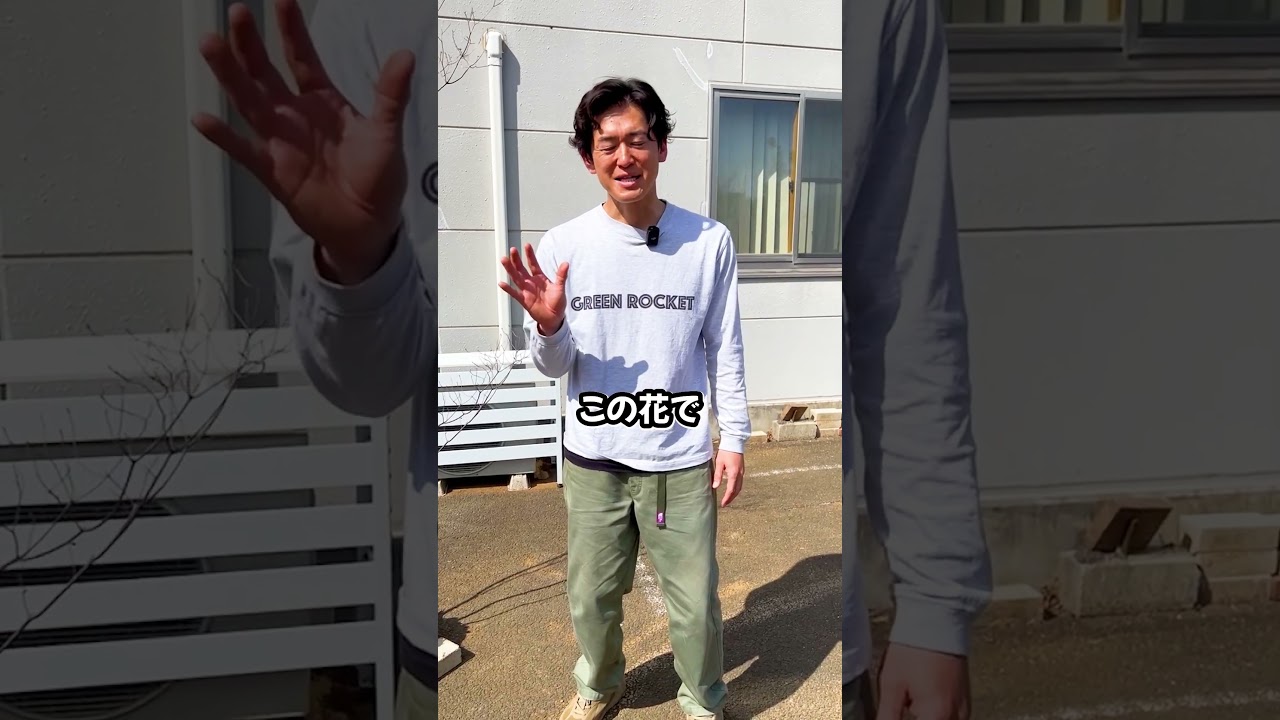 【全部で４種類】山採りの全部知ってる？