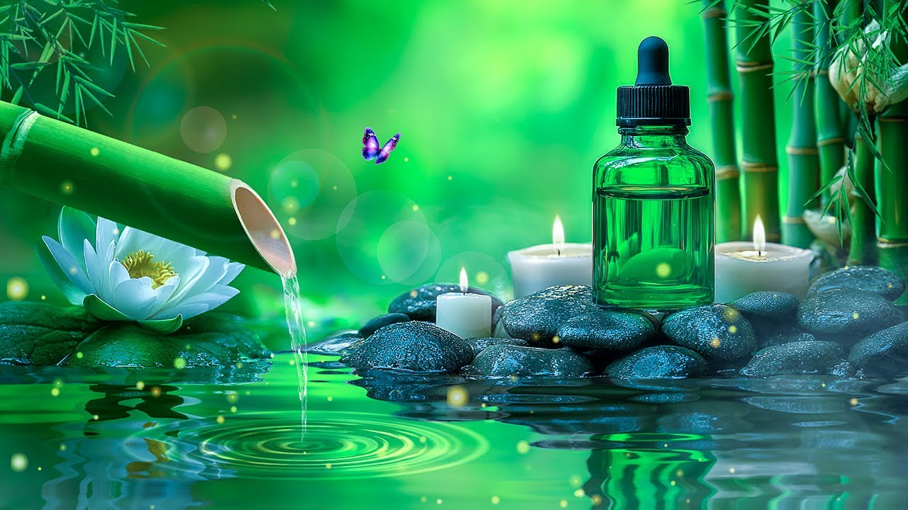 Relaxing Piano Music + Insomnia and Healing 🌿 Relaxing Music, Sleep Music, Meditation, Nature Sound