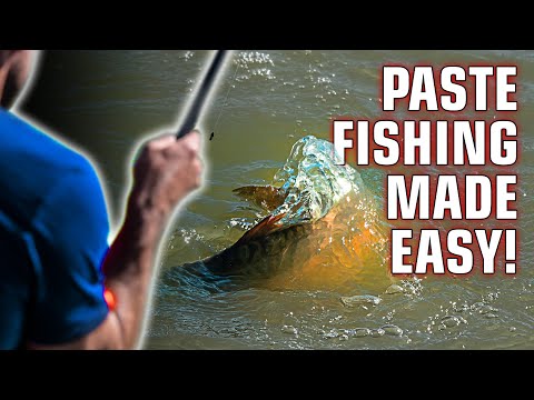 Fishing Gurus Paste Fishing with Rob Taylor