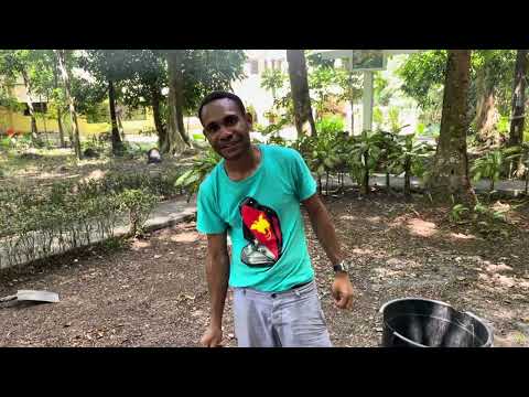 Steps of preparing Mumu (PNG Traditional Food).
