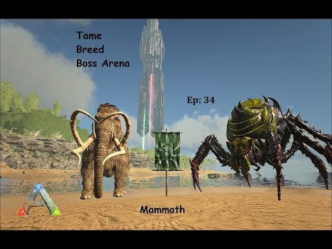 Ark How to Tame, Breed, Boss Arena Gamma Broodmother : Ep 34 : Mammoth