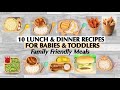 10 LUNCH AND DINNER RECIPES FOR BABIES AND TODDLERS - FAMILY FRIENDLY MEALS FOR TODDLERS & BABIES
