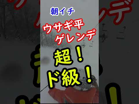 Video: 超ド級寒波JPCZで八方はパウダー祭 #八方尾根スキー場 #スキー＃パウダー