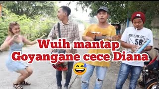 Download lagu Viral trio wok wok cover lagu TERLENA CECE DIANA goyang lagi broh mp3