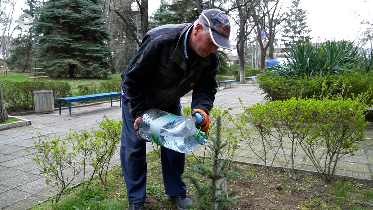 Засадиха 60 фиданки в двора на многопрофилната болница в Кърджали