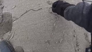 Beach Metal Detecting New Hampshire