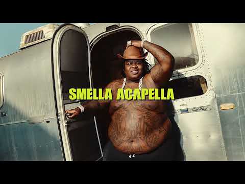 BigXthaPlug - Texas (Explicit) - 145 BPM Aacapella
