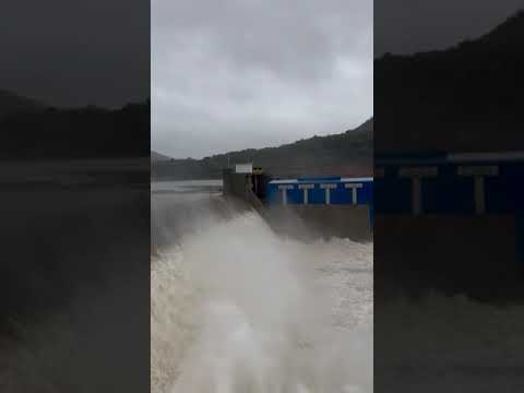 PCH RINCÃO SÃO MIGUEL- Rio Toropi #shorts #riotoropi #quevedos #pchrincaosaomiguel #toropi