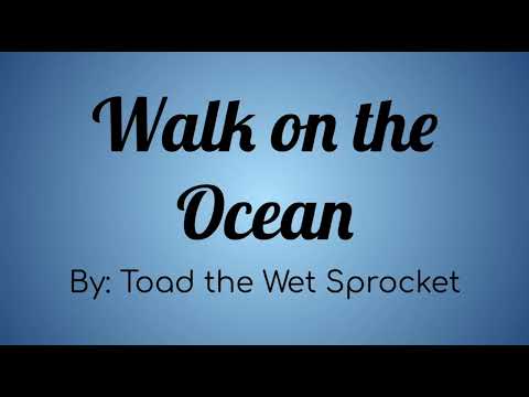 Toad The Wet Sprocket - Walk On the Ocean Lyric Video ~ For My Dad