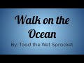 Toad The Wet Sprocket - Walk On the Ocean Lyric Video ~ For My Dad