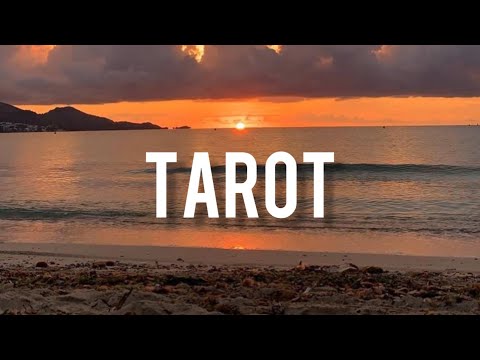 Tarot-Feast |Lirik Lagu