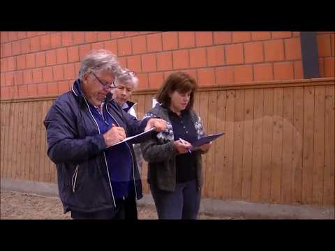 FIZO Kronshof 2018: Exterieurbeurteilung