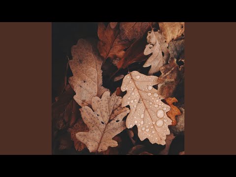 Under the Yum Yum Tree