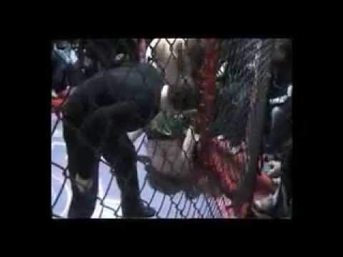 Semi pro fight at I.F.S