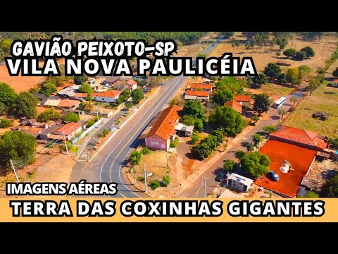 VILA NOVA PAULICÉIA: Do auge do café ao topo da tecnologia no interior de SP