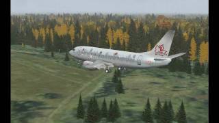 preview picture of video 'Canadian Xpress Boeing 737-300 Landing Runway 29 Moncton (CYQM)'