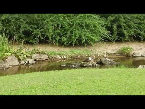 [Kashari com vídeo de narração! Viagem Solo] Hiraizumi Motsuji Mini 6 - Um gracioso festival de água sinuoso no período Heian - Uma ruína nacional especial essencial para a história de Oshu