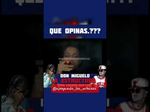 LA ESTRUCTURA don miguelo ft shelow shaq ft químico ultramega