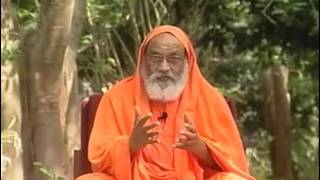Fortalecendo o Livre-Arbítrio - Swami Dayananda Saraswati - Discurso 11 - LEGENDADO EM PORTUGUÊS!