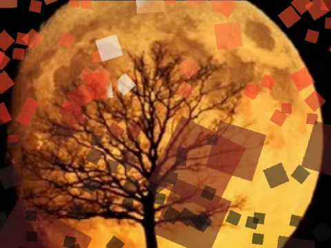 František Nedvěd - Jsi mým osudem