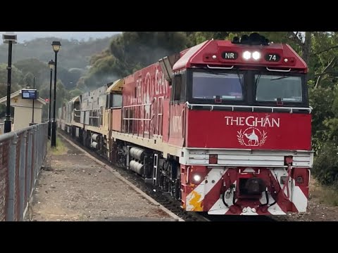 NR74 + NR76 + NR98 + G538 on 7MP5 at Mitcham