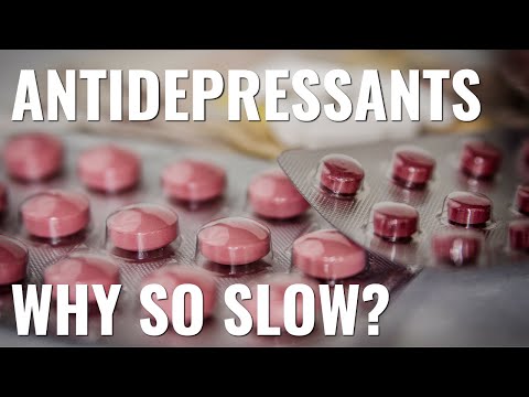 Why do antidepressants take so long to work?