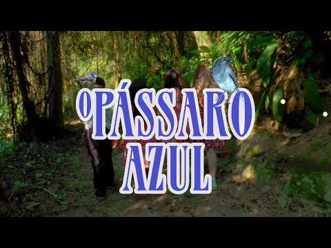 1940 O Pássaro Azul (Dual Audio) 