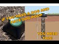 Dog Poop Septic System Is A Must Have For Any Pet Owner