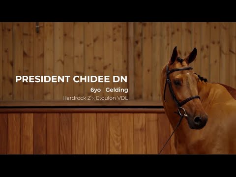 3. President Chidee DN | Profile