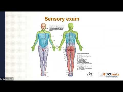 4  Neurological and Neurotrauma assessment