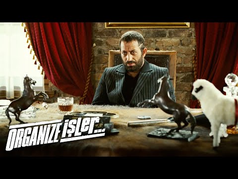 Filoloji Nedir? | Organize İşler