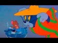 Tom And Jerry The Zoot Cat Episode 13 Tom And Jerry Cartoon IUKeiTv