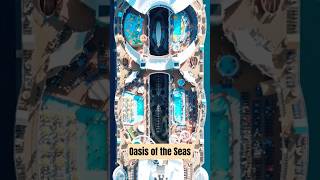 Oasis of the Seas 🚢✨ | Royal Caribbean Mega Ship in 30 Seconds #cruiseship #shorts