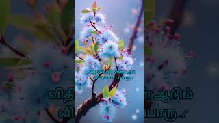 Download lagu nan oru sindhu.. kavadi sindhu.. 😔😔#lyrics #oldisgold #status #80s #old #sad #kschithra #ilayaraja mp3