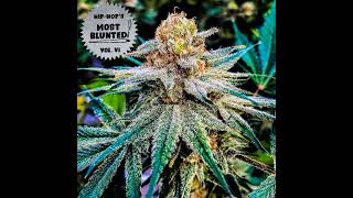 22 Classified   High Maintenance