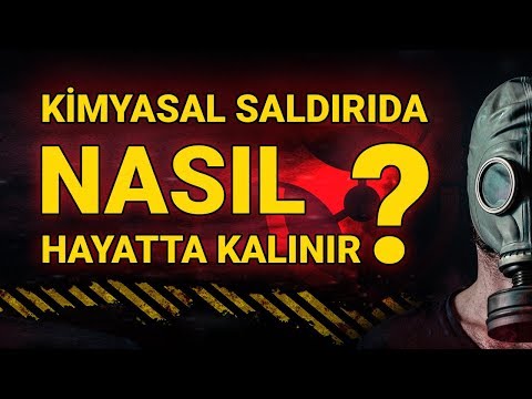 Cara orang tentang bagaimana untuk meningkatkan anggota Lebah impotensi