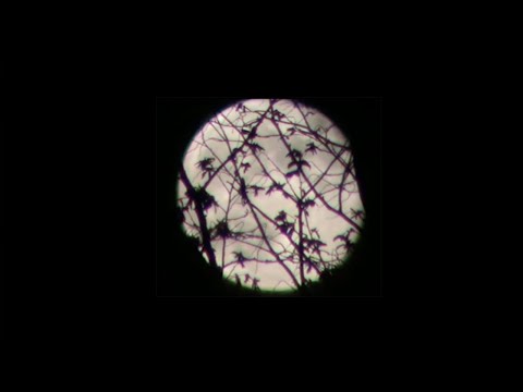 Riva Sinistra - Do You Realize (Official Video Clip)