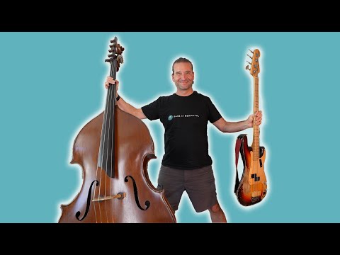 From Electric Bass to Double Bass A Beginner's Guide
