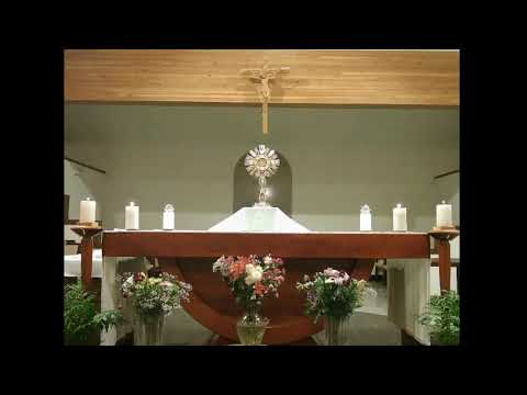 Sự kiện trực tiếp của SAINT VINHSONLIEM