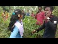 Jangal Me Mangal Part 1 Ll Video Newvideo