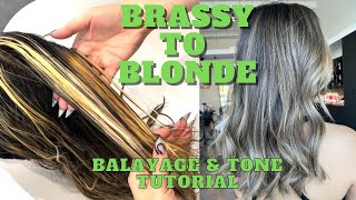 What to do when Balayage goes WRONG - Ash blonde on brunette tutorial with formulas