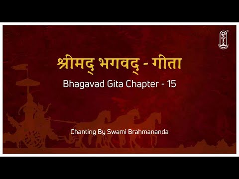 Bhagavad Gita Chapter 15 Chanting | भगवद गीता अध्याय 15 | Gita Chant 15 🙏 #BhagavadGita #Chanting